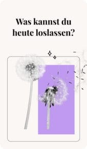 card-11