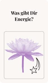 card-12