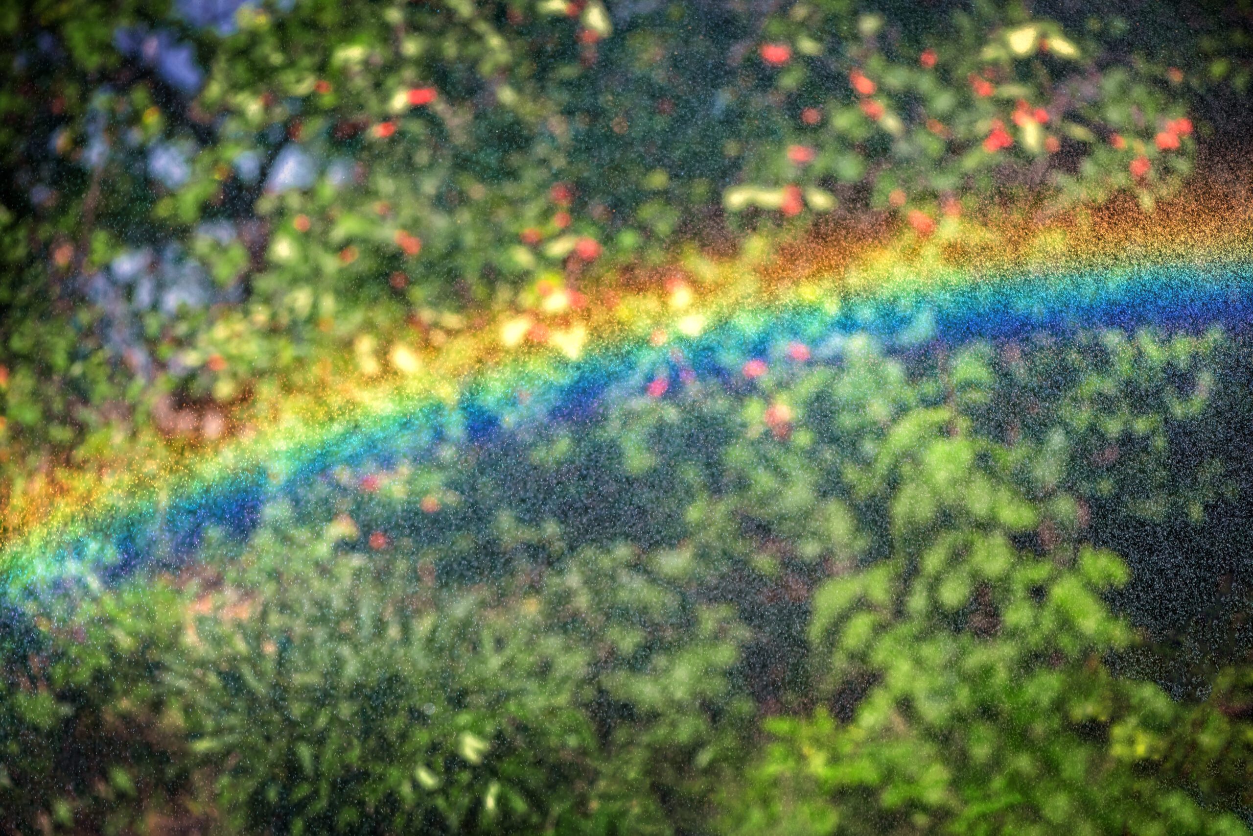 Verdrängung oder Veränderung – Psychologie der Klimakrise