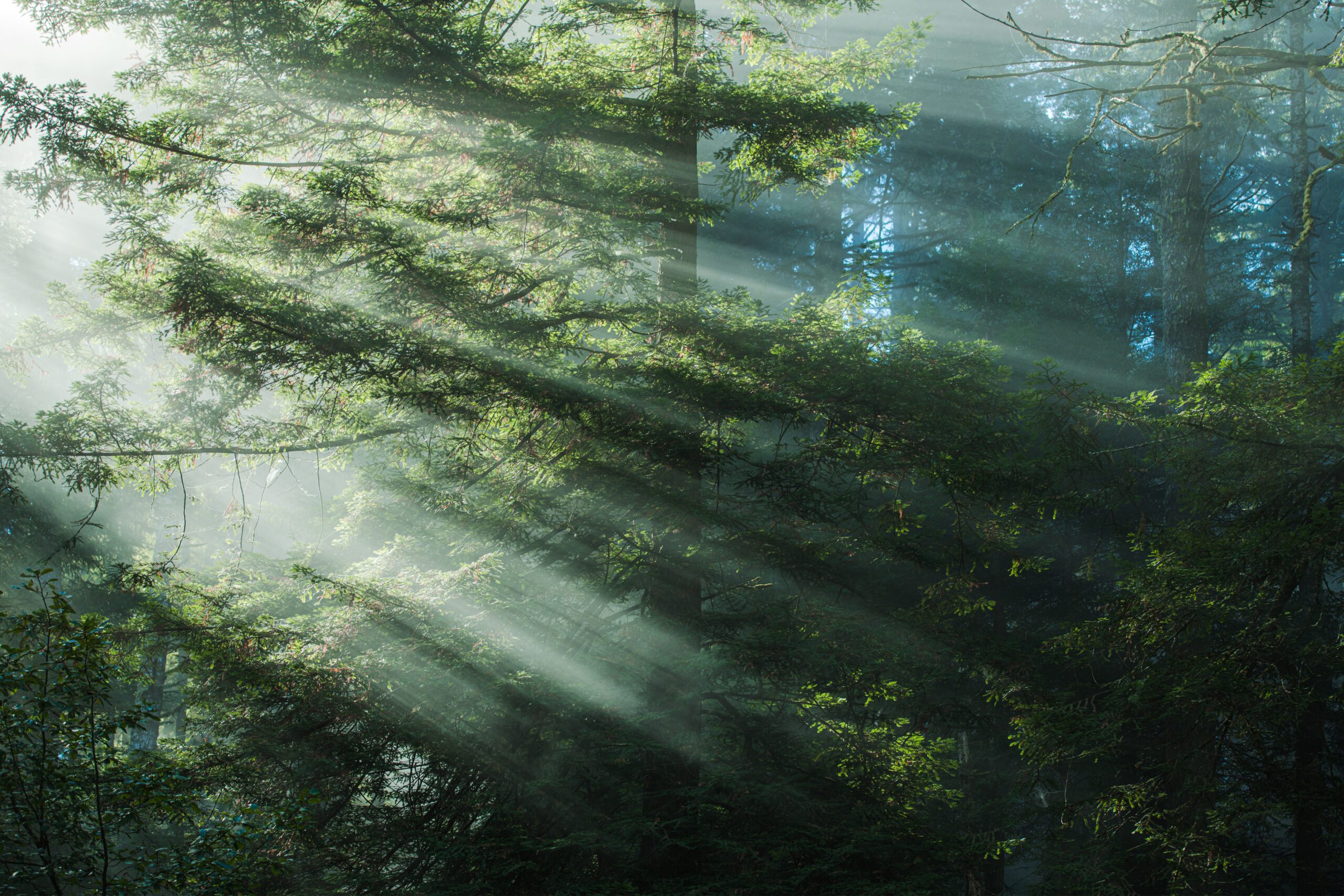 Breathwork. Staffel 2: Die Kraft des gezielten Atems