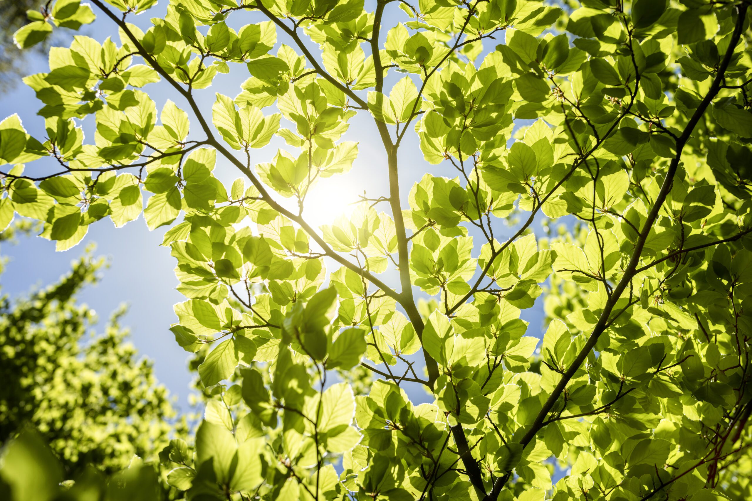 Länger gut leben – Inspiration für Dein Wohlbefinden